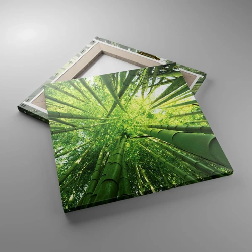 Quadro su tela - Stampe su Tela - Nella foresta di bambù - 40x40 cm