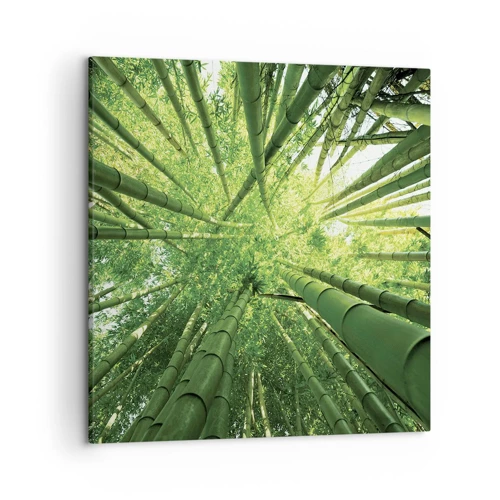 Quadro su tela - Stampe su Tela - Nella foresta di bambù - 50x50 cm
