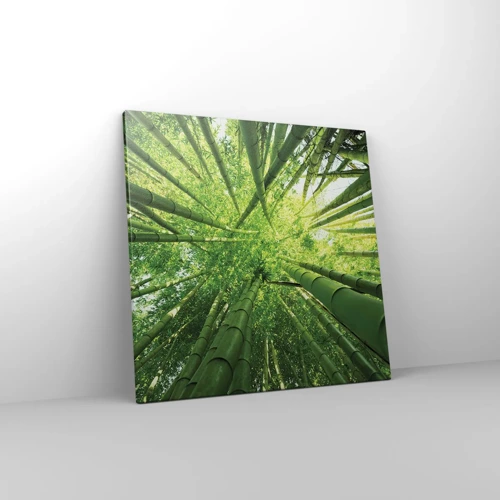 Quadro su tela - Stampe su Tela - Nella foresta di bambù - 50x50 cm