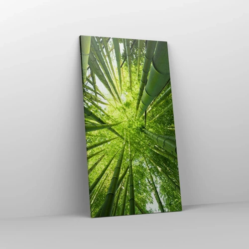 Quadro su tela - Stampe su Tela - Nella foresta di bambù - 55x100 cm