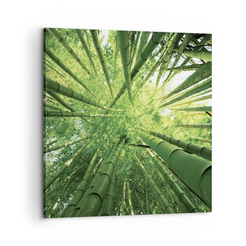 Quadro su tela - Stampe su Tela - Nella foresta di bambù - 60x60 cm
