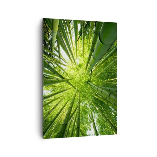 Quadro su tela - Stampe su Tela - Nella foresta di bambù - 70x100 cm