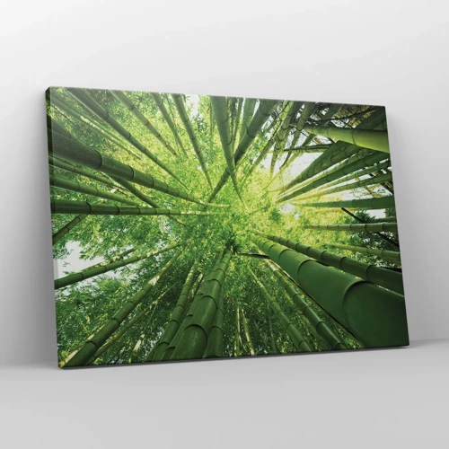 Quadro su tela - Stampe su Tela - Nella foresta di bambù - 70x50 cm