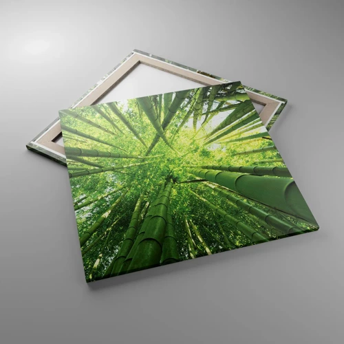 Quadro su tela - Stampe su Tela - Nella foresta di bambù - 70x70 cm