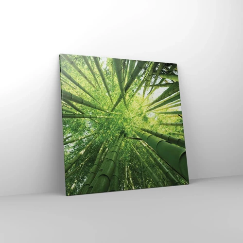 Quadro su tela - Stampe su Tela - Nella foresta di bambù - 70x70 cm