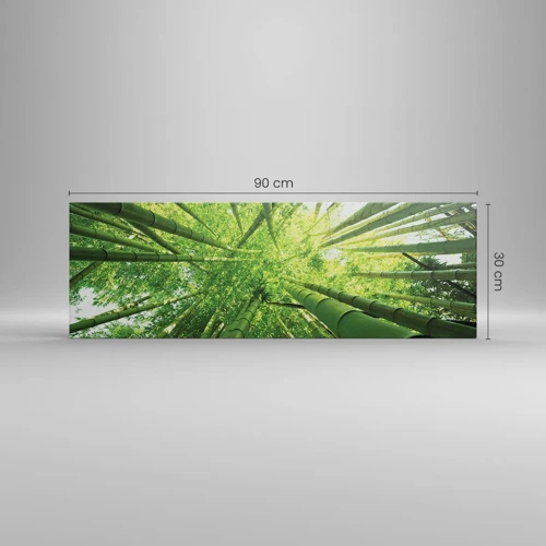 Quadro su tela - Stampe su Tela - Nella foresta di bambù - 90x30 cm