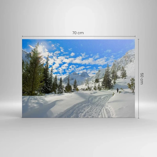 Quadro su tela - Stampe su Tela - Nella neve e nel sole - 70x50 cm