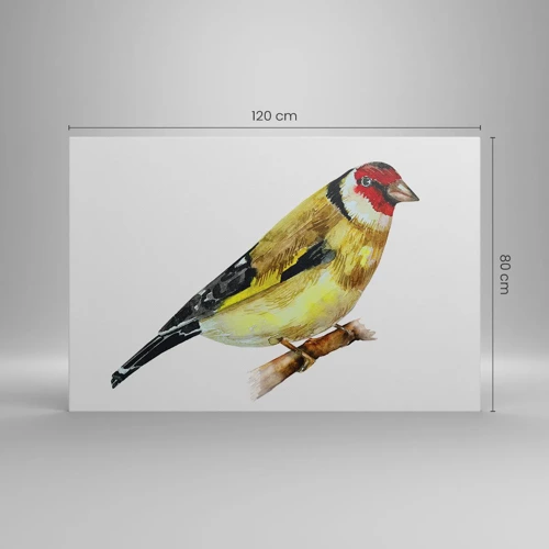 Quadro su tela - Stampe su Tela - Ritratto di uccello - 120x80 cm