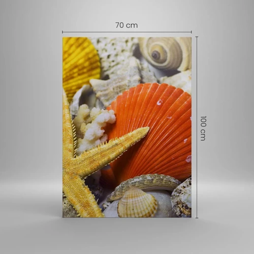 Quadro su tela - Stampe su Tela - Tesori dell'oceano - 70x100 cm
