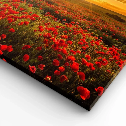 Quadro su tela - Stampe su Tela - Tra il fruscio delle erbe, in un'esplosione di fiori - 80x120 cm