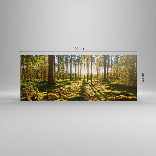 Quadro su tela - Stampe su Tela - …dopo sette foreste - 100x40 cm