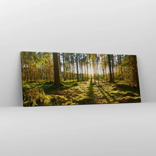 Quadro su tela - Stampe su Tela - …dopo sette foreste - 100x40 cm