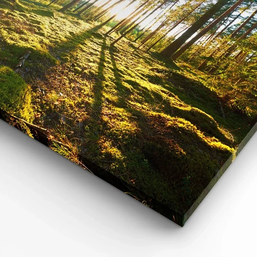 Quadro su tela - Stampe su Tela - …dopo sette foreste - 100x40 cm