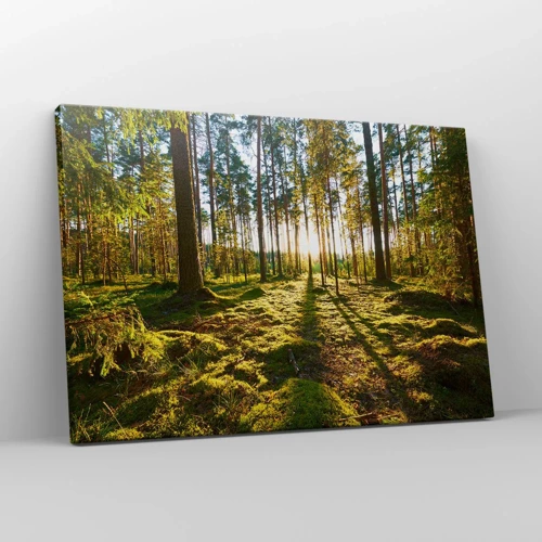 Quadro su tela - Stampe su Tela - …dopo sette foreste - 70x50 cm