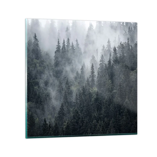 Quadro su vetro - Alba nel bosco - 40x40 cm