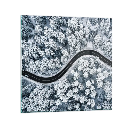 Quadro su vetro - Attraverso il bosco invernale - 30x30 cm