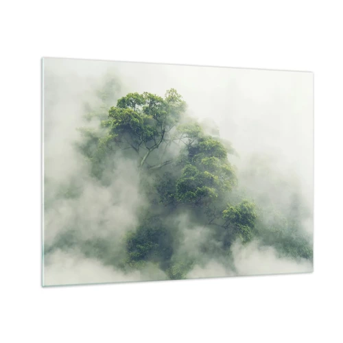 Quadro su vetro - Avvolti dalla nebbia - 70x50 cm