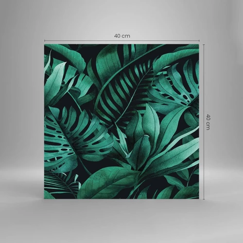 Quadro su vetro - Dal profondo del verde tropicale - 40x40 cm
