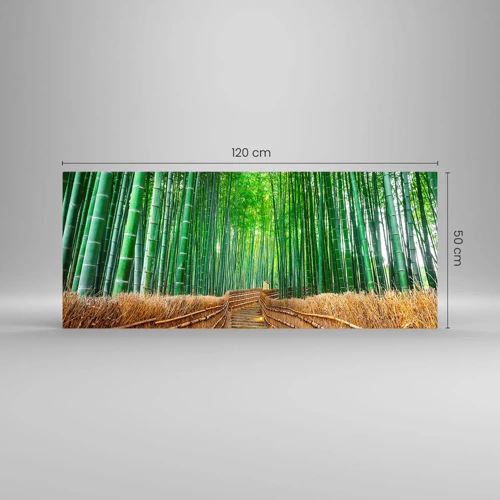Quadro su vetro - Essenza della natura asiatica - 120x50 cm