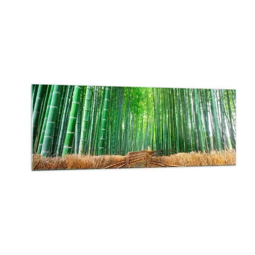 Quadro su vetro - Essenza della natura asiatica - 140x50 cm