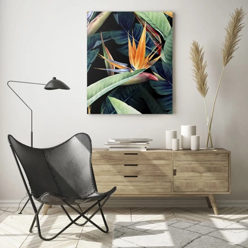 Quadro su vetro - I fiori fiammeggianti dei tropici - 50x70 cm