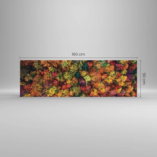 Quadro su vetro - Il bouquet degli alberi d'autunno - 160x50 cm