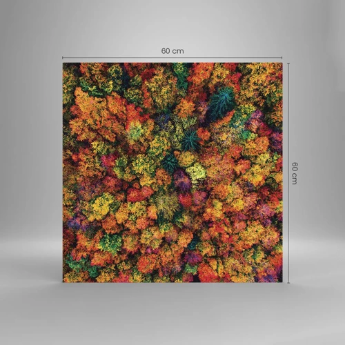 Quadro su vetro - Il bouquet degli alberi d'autunno - 60x60 cm