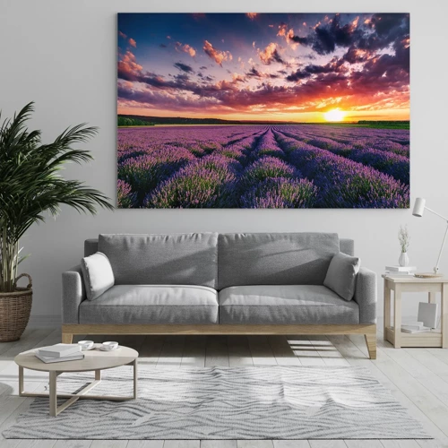 Quadro su vetro - Il mondo della lavanda - 70x50 cm