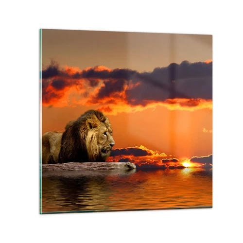Quadro su vetro - Il re della natura - 70x70 cm