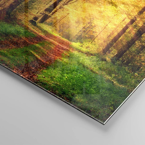 Quadro su vetro - Il silenzio d'oro del bosco - 40x40 cm