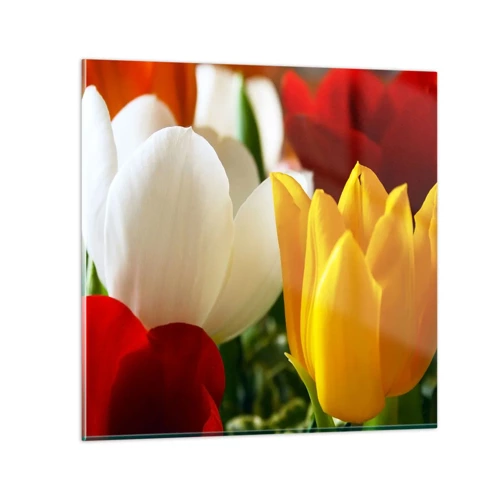 Quadro su vetro - La febbre dei tulipani - 30x30 cm