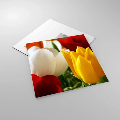 Quadro su vetro - La febbre dei tulipani - 50x50 cm
