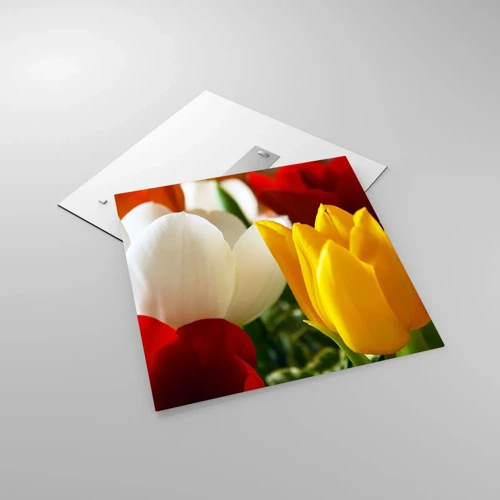 Quadro su vetro - La febbre dei tulipani - 60x60 cm