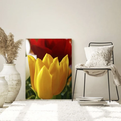Quadro su vetro - La febbre dei tulipani - 70x100 cm