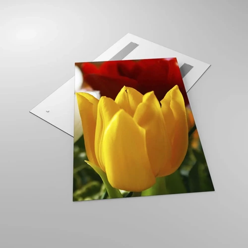 Quadro su vetro - La febbre dei tulipani - 80x120 cm