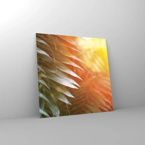 Quadro su vetro - L'alba nella giungla - 40x40 cm