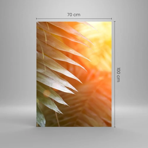 Quadro su vetro - L'alba nella giungla - 70x100 cm