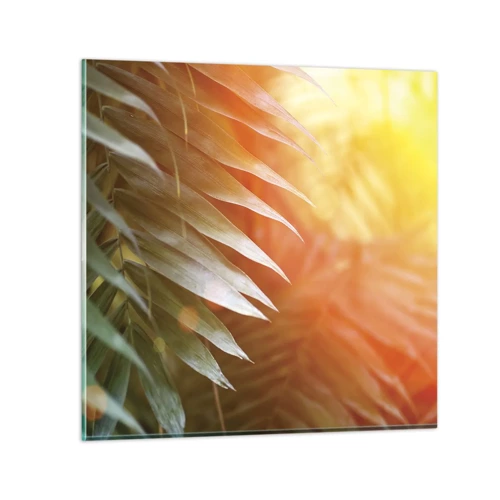 Quadro su vetro - L'alba nella giungla - 70x70 cm
