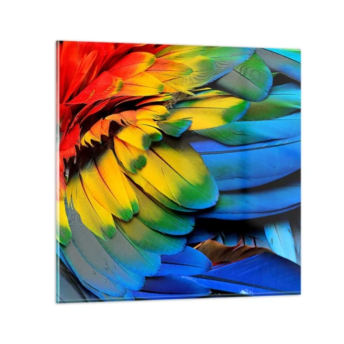 Quadro su vetro - L'uccello del paradiso - 70x70 cm