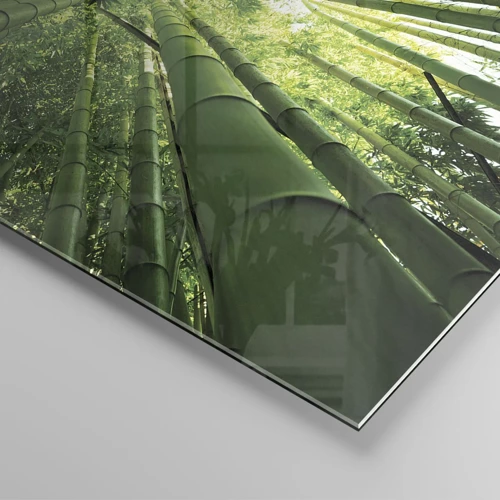 Quadro su vetro - Nella foresta di bambù - 100x40 cm