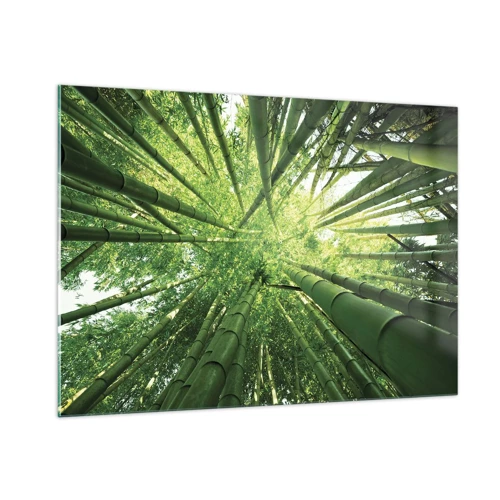 Quadro su vetro - Nella foresta di bambù - 100x70 cm