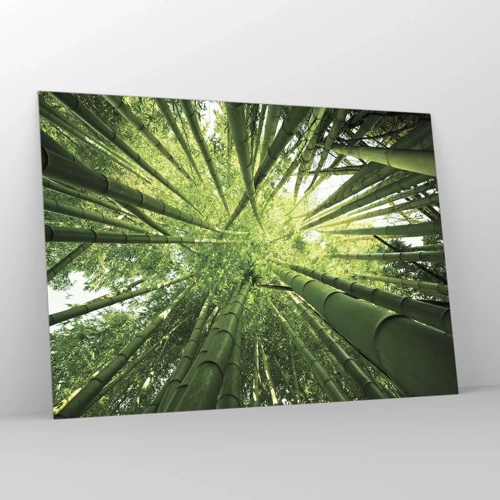 Quadro su vetro - Nella foresta di bambù - 100x70 cm