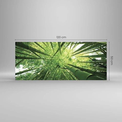 Quadro su vetro - Nella foresta di bambù - 120x50 cm