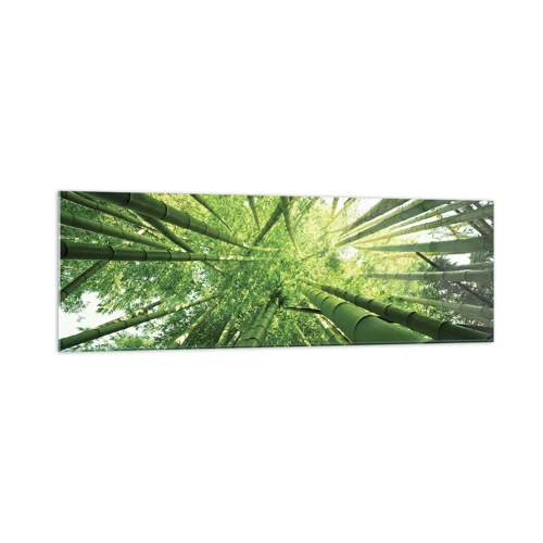 Quadro su vetro - Nella foresta di bambù - 160x50 cm