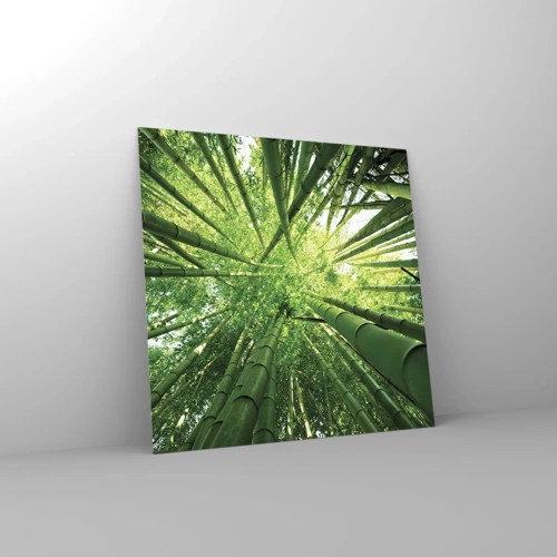 Quadro su vetro - Nella foresta di bambù - 30x30 cm