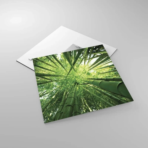 Quadro su vetro - Nella foresta di bambù - 40x40 cm