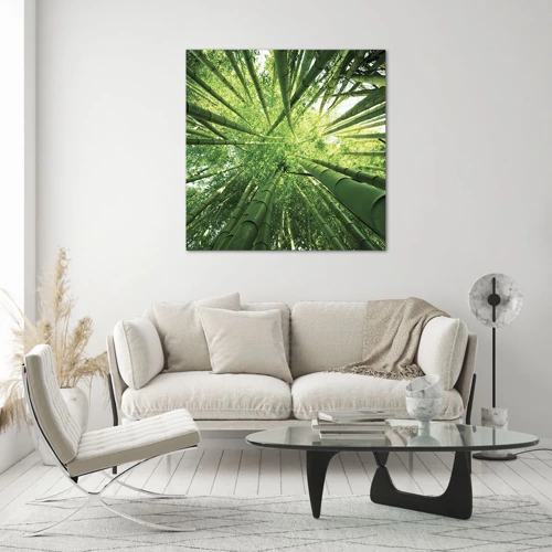 Quadro su vetro - Nella foresta di bambù - 60x60 cm