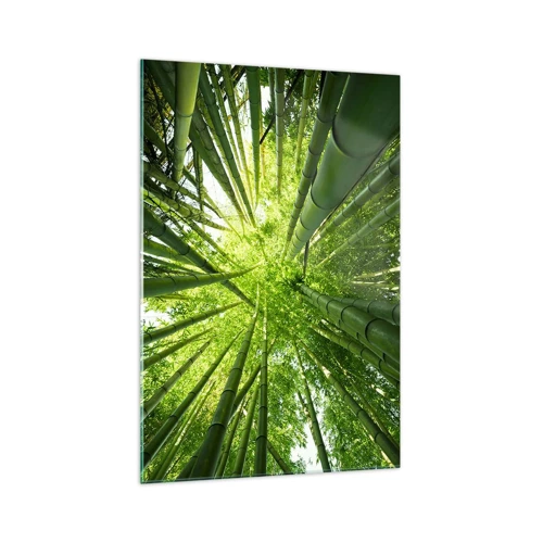 Quadro su vetro - Nella foresta di bambù - 70x100 cm