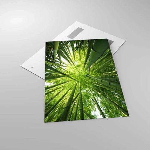 Quadro su vetro - Nella foresta di bambù - 70x100 cm