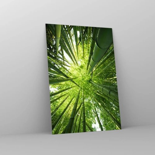 Quadro su vetro - Nella foresta di bambù - 70x100 cm